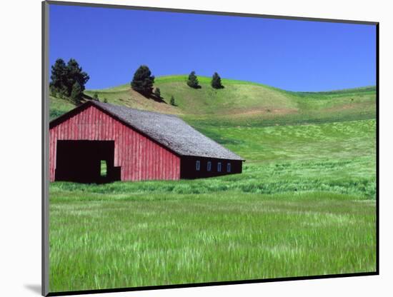 Barn in Field of Wheat, Palouse Area, Washington, USA-Janell Davidson-Mounted Photographic Print