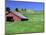 Barn in Field of Wheat, Palouse Area, Washington, USA-Janell Davidson-Mounted Photographic Print
