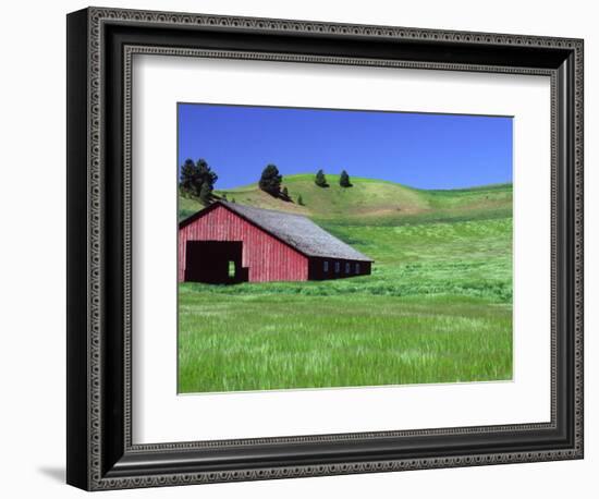 Barn in Field of Wheat, Palouse Area, Washington, USA-Janell Davidson-Framed Photographic Print