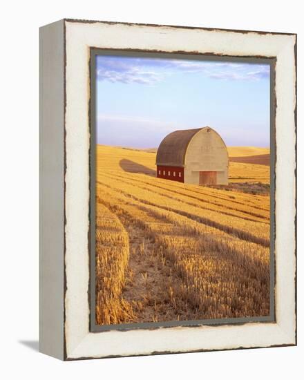 Barn in Harvested Field-Terry Eggers-Framed Premier Image Canvas