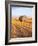 Barn in Harvested Field-Terry Eggers-Framed Photographic Print