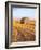 Barn in Harvested Field-Terry Eggers-Framed Photographic Print