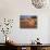 Barn in Hay Field, Metter, Georgia, USA-Joanne Wells-Photographic Print displayed on a wall