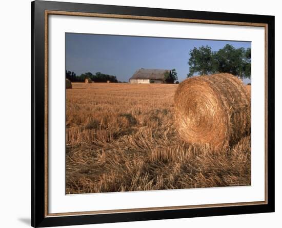 Barn in Hay Field, Metter, Georgia, USA-Joanne Wells-Framed Photographic Print