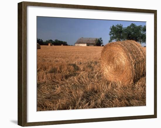 Barn in Hay Field, Metter, Georgia, USA-Joanne Wells-Framed Photographic Print