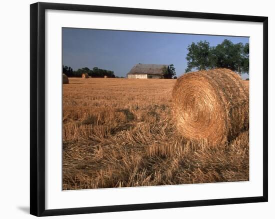 Barn in Hay Field, Metter, Georgia, USA-Joanne Wells-Framed Photographic Print