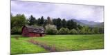 Premium Photographic Print