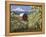 Barn in Orchard Below Mt. Hood-John McAnulty-Framed Premier Image Canvas