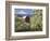 Barn in Orchard Below Mt. Hood-John McAnulty-Framed Photographic Print