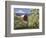 Barn in Orchard Below Mt. Hood-John McAnulty-Framed Photographic Print