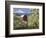 Barn in Orchard Below Mt. Hood-John McAnulty-Framed Photographic Print