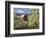 Barn in Orchard Below Mt. Hood-John McAnulty-Framed Photographic Print