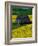 Barn in Rape Seed Field-Darrell Gulin-Framed Photographic Print