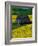 Barn in Rape Seed Field-Darrell Gulin-Framed Photographic Print