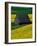 Barn in Rape Seed Field-Darrell Gulin-Framed Photographic Print