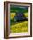 Barn in Rape Seed Field-Darrell Gulin-Framed Photographic Print