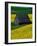 Barn in Rape Seed Field-Darrell Gulin-Framed Photographic Print