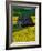 Barn in Rape Seed Field-Darrell Gulin-Framed Photographic Print