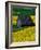 Barn in Rape Seed Field-Darrell Gulin-Framed Photographic Print