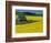 Barn in Rape Seed Field-Darrell Gulin-Framed Photographic Print