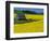 Barn in Rape Seed Field-Darrell Gulin-Framed Photographic Print