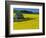 Barn in Rape Seed Field-Darrell Gulin-Framed Photographic Print