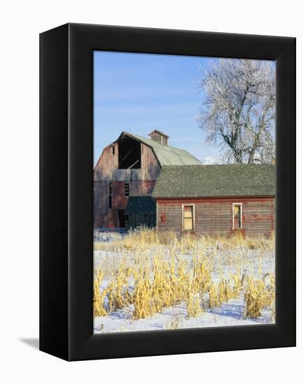 Barn in Winter-Scott T. Smith-Framed Premier Image Canvas