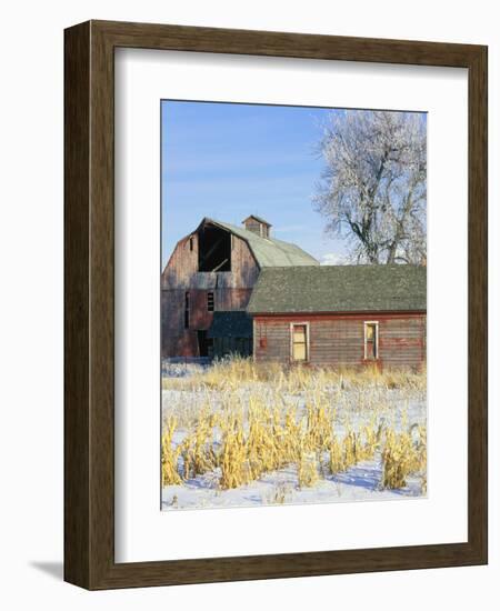 Barn in Winter-Scott T. Smith-Framed Photographic Print