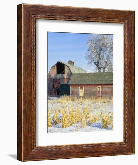 Barn in Winter-Scott T. Smith-Framed Photographic Print