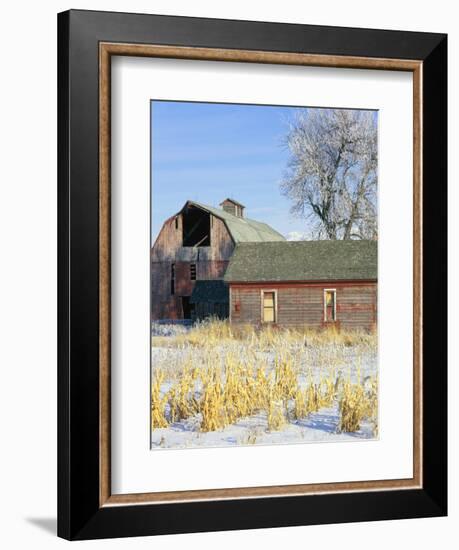 Barn in Winter-Scott T. Smith-Framed Photographic Print