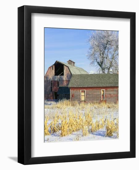 Barn in Winter-Scott T. Smith-Framed Photographic Print