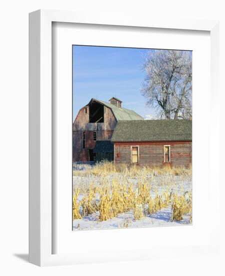 Barn in Winter-Scott T. Smith-Framed Photographic Print