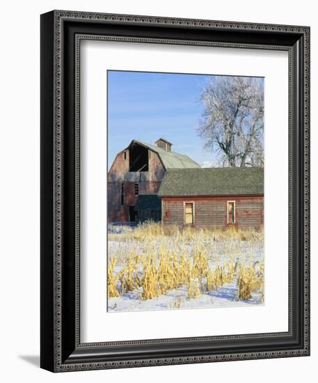 Barn in Winter-Scott T. Smith-Framed Photographic Print