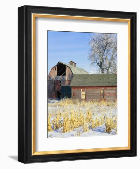 Barn in Winter-Scott T. Smith-Framed Photographic Print