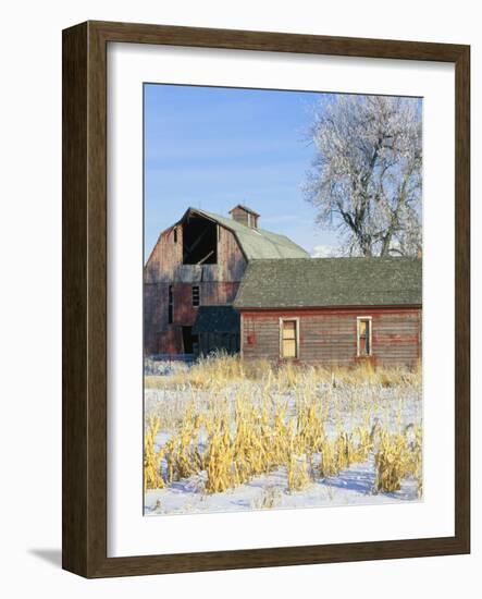 Barn in Winter-Scott T. Smith-Framed Photographic Print