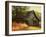 Barn Loft Memories-Danny Head-Framed Art Print