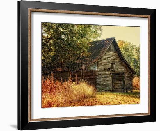 Barn Loft Memories-Danny Head-Framed Art Print