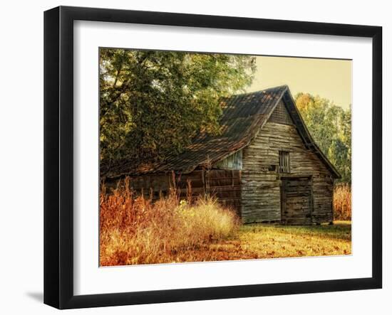 Barn Loft Memories-Danny Head-Framed Art Print