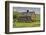 Barn near Colfax with wheat fields, Eastern Washington-Darrell Gulin-Framed Photographic Print