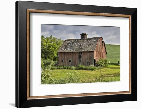 Barn near Colfax with wheat fields, Eastern Washington-Darrell Gulin-Framed Photographic Print