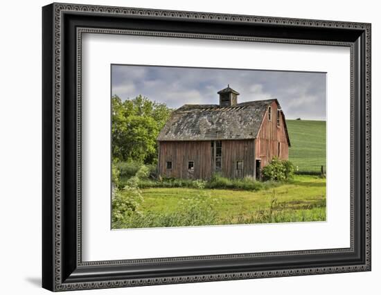 Barn near Colfax with wheat fields, Eastern Washington-Darrell Gulin-Framed Photographic Print