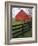 Barn Near Etlan, Virginia, USA-Charles Gurche-Framed Photographic Print