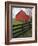 Barn Near Etlan, Virginia, USA-Charles Gurche-Framed Photographic Print