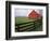 Barn Near Etlan, Virginia, USA-Charles Gurche-Framed Photographic Print