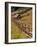 Barn on Last Dollar Road near Telluride, Colorado, USA-Julie Eggers-Framed Photographic Print