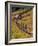 Barn on Last Dollar Road near Telluride, Colorado, USA-Julie Eggers-Framed Photographic Print