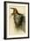 Barn or Chimney Swallow-John James Audubon-Framed Art Print