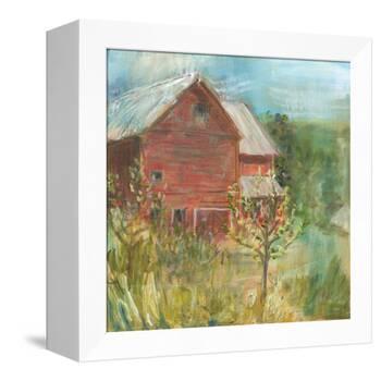 Barn Orchard-Sue Schlabach-Framed Stretched Canvas