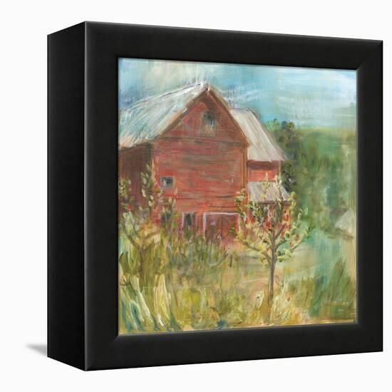 Barn Orchard-Sue Schlabach-Framed Stretched Canvas