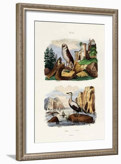 Barn Owl, 1833-39-null-Framed Giclee Print